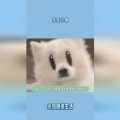 给小猫吃瓜视频大全集免费观看,小猫吃瓜视频大全集免费赏鉴